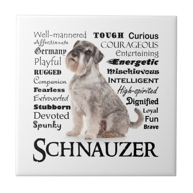 Schnauzer Traits Tile (Front)