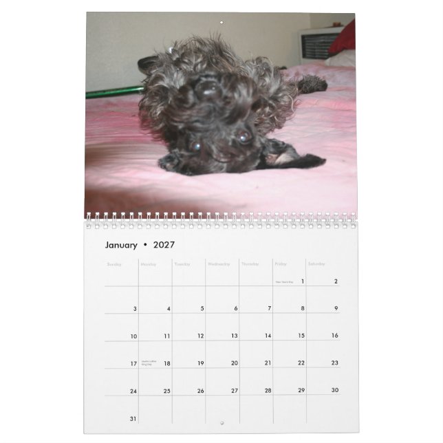 Schnauzers Calendar (Jan 2027)