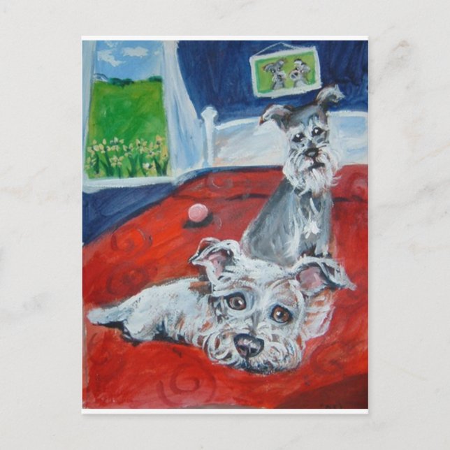 schnauzers on bed postcard (Front)