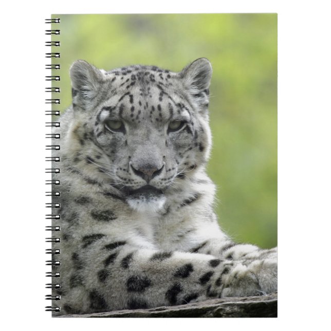 Schneeleopard Spiral Notebook (Front)