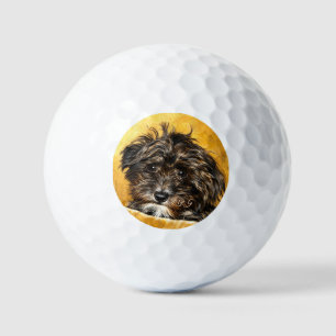 Schnoodle Coasters Golf Balls