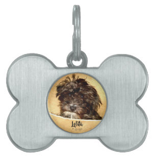 Schnoodle Dog Bone Shaped Pet ID Tag