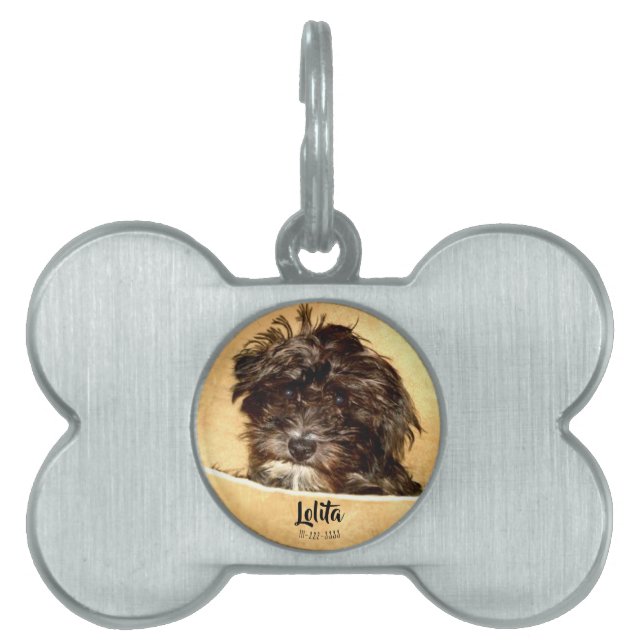Schnoodle Dog Bone Shaped Pet ID Tag (Front)