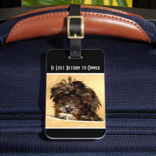 Schnoodle Dog Luggage Tag