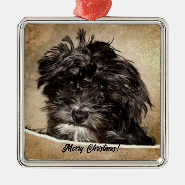 Schnoodle Dog Metal Tree Decoration (Front)