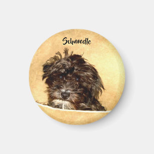 Schnoodle Dog Round Magnet