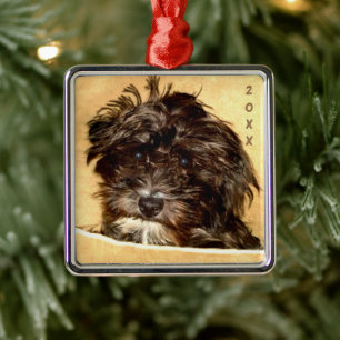 Schnoodle Square Ornament