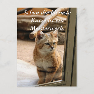 Schon die kleinste Katze ist ei... Postcard