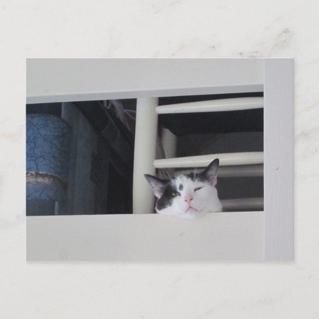 Schöne Aussicht Postcard (Front)