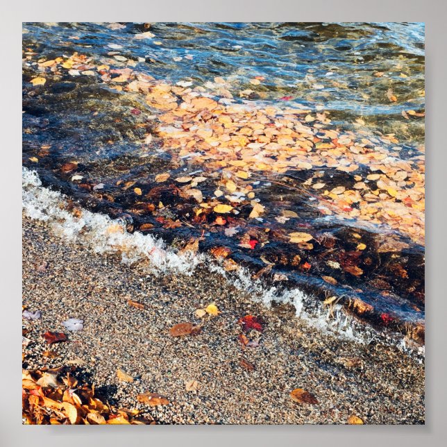 schoodic bay in the fall poster (Front)