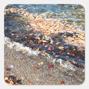schoodic bay in the fall square sticker