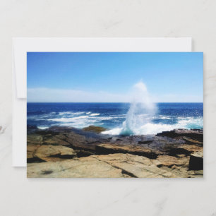 Schoodic Point Card