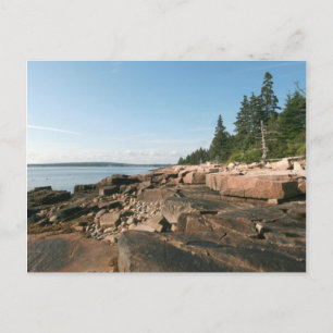 Schoodic West Shore Postcard