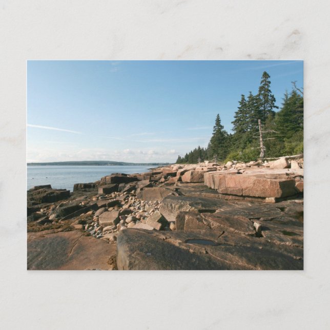 Schoodic West Shore Postcard (Front)
