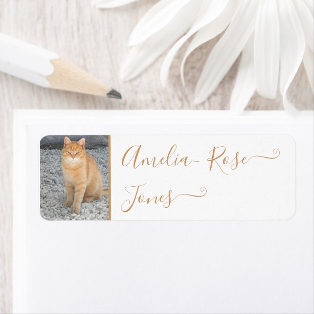 School Book Name Labels Pet Photo Template Cute (Insitu)