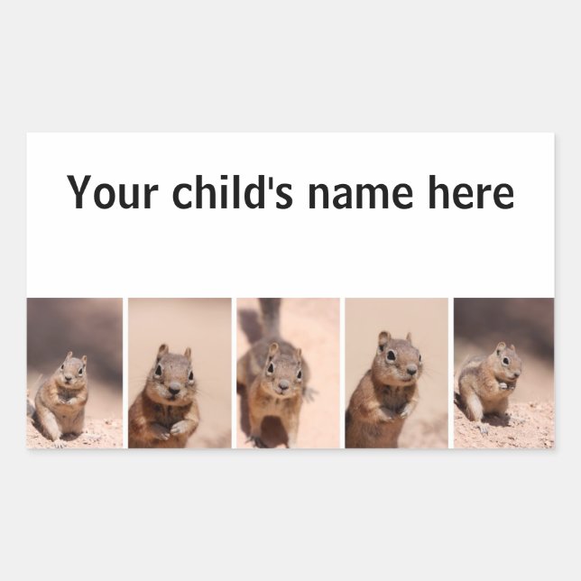 School Book Stickers Chipmunk Squirrel (Front)