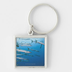 School of blackfin barracuda (Sphyraena qenie) Key Ring