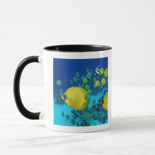 School of Butterfly Fish Swimming on the Seabed Mug