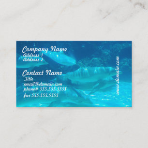 School of Dolphins Business Cards