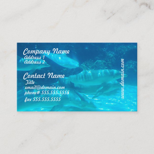 School of Dolphins Business Cards (Front)