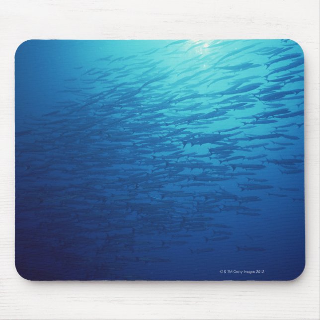 School of Fish 12 Mouse Pad (Front)