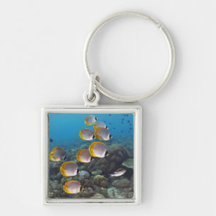 School of Fish 2 Key Ring