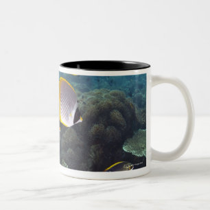 School of Fish 2 Two-Tone Coffee Mug