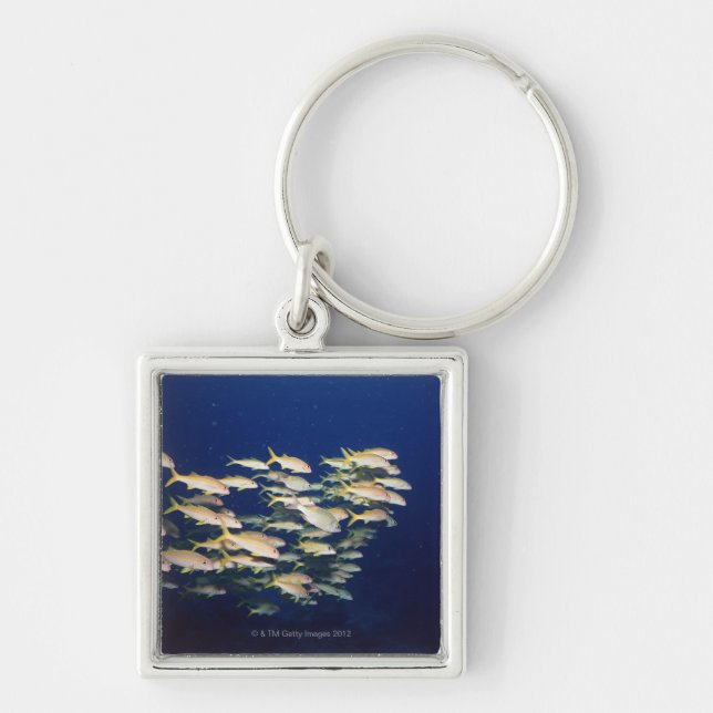 School of Fish 8 Key Ring (Front)