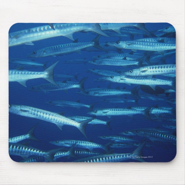 School of Fish 9 Mouse Pad (Front)