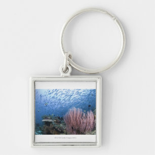 School of fish above reef key ring