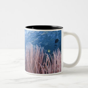 School of fish above reef Two-Tone coffee mug