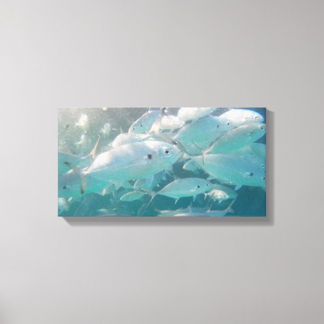 SCHOOL OF FISH ON CANVAS     20 "x 16" Print (Front)