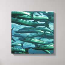 School of Green Fish Canvas Print