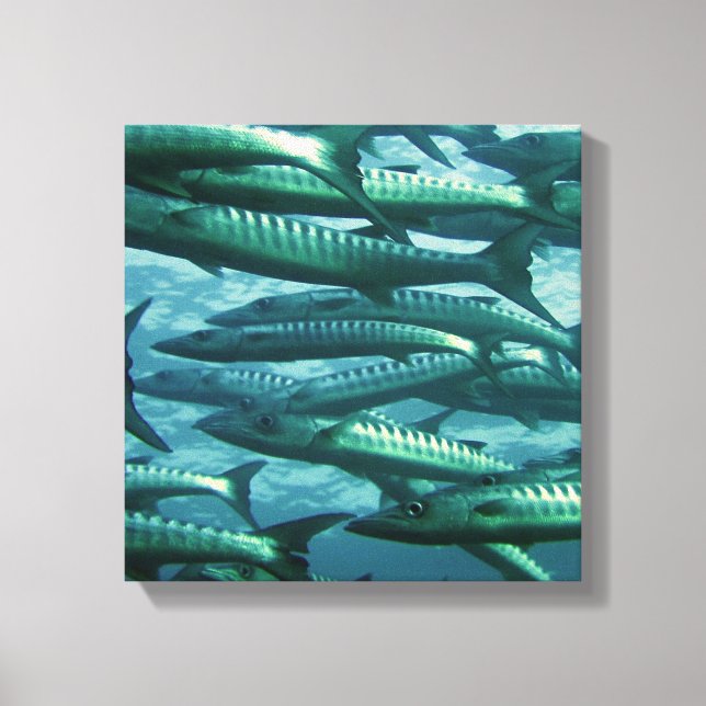 School of Green Fish Canvas Print (Front)