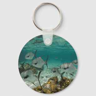 School of Permit Fish Key Ring