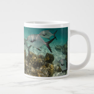 School of Permit Fish Large Coffee Mug