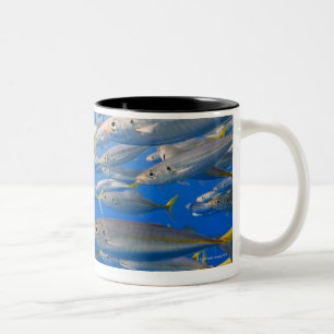 School of Rainbow Runners, Sea of Cortez, Mexico Two-Tone Coffee Mug
