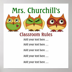 School Teacher's Classroom Rules LG. by SRF Poster