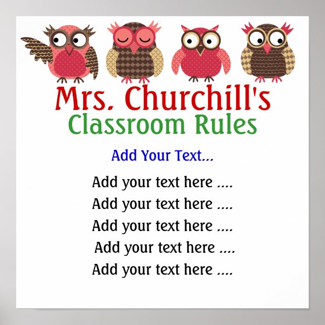 School Teacher's Classroom Rules LG. by SRF Poster (Front)