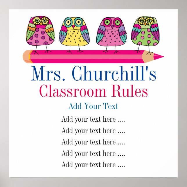 School Teacher's Classroom Rules Poster (Front)