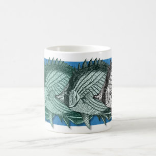 Schooling 2 coffee mug