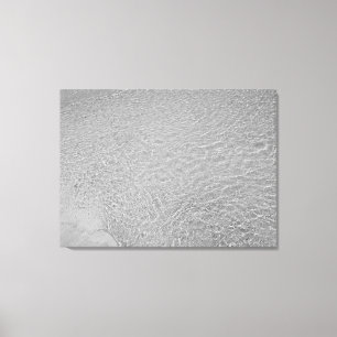 schooling canvas print