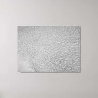 schooling canvas print