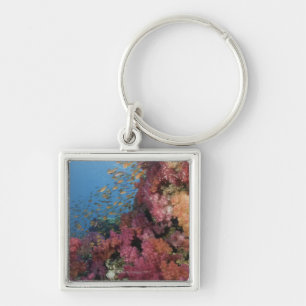 Schooling Fairy Basslets 2 Key Ring