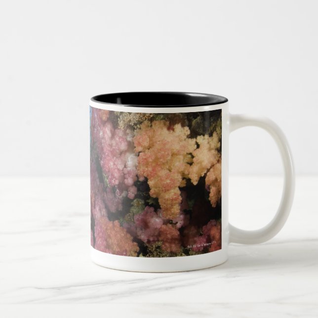 Schooling Fairy Basslets 2 Two-Tone Coffee Mug (Right)