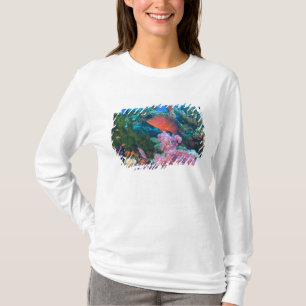 schooling Fairy Basslets  (Pseudanthias T-Shirt