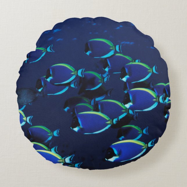 Schooling Powder Blue Surgeonfish Round Cushion (Front)
