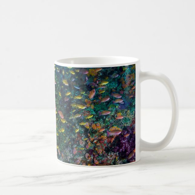 Schools of Fish Swim in Reef Coffee Mug (Right)