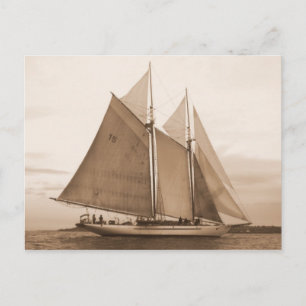 Schooner Adventuress Postcard