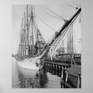 Schooner Paul Palmer Poster